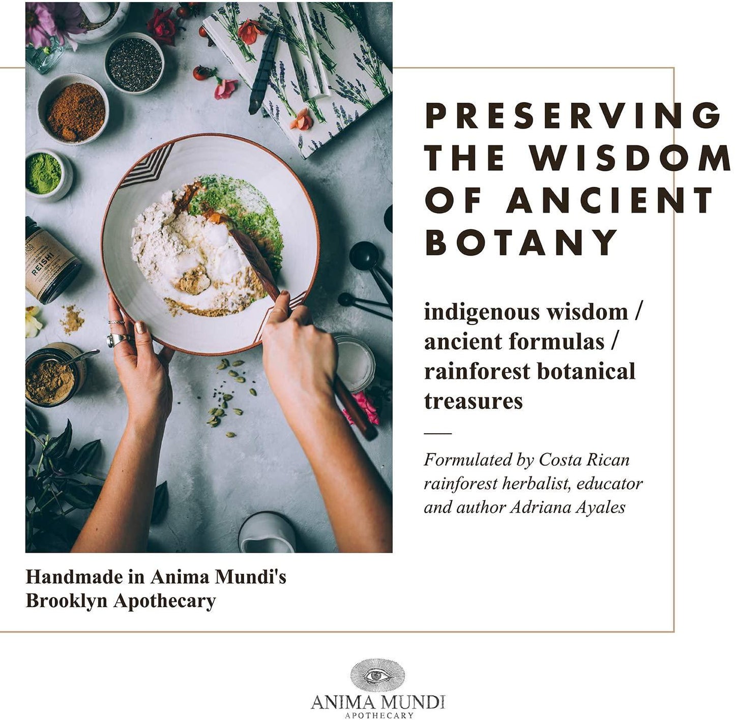 Anima Mundi Fat Belly Tonic - Liver Detox Support Tonic - Liquid Herbal Liver and Gut Detox Tincture with Garcinia, Green Coffee + Turmeric (2oz / 60ml)