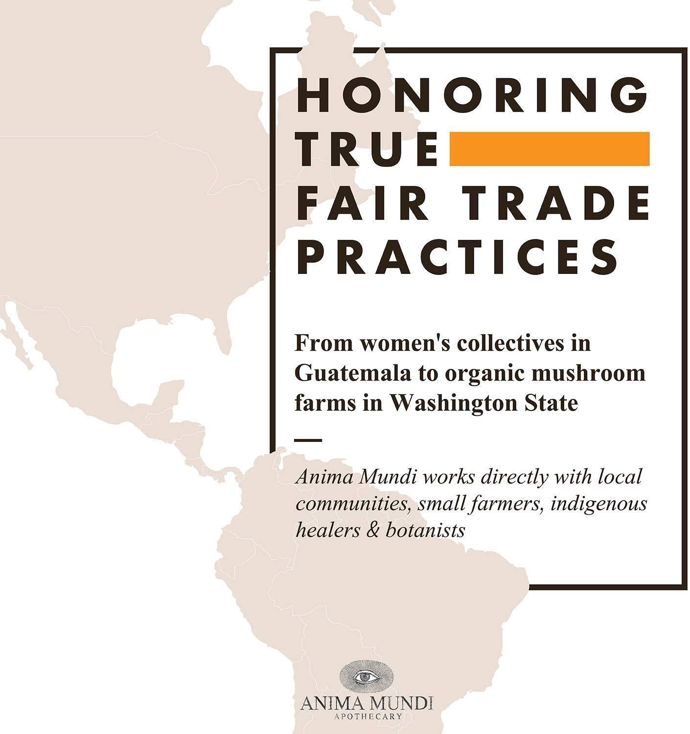 Anima Mundi Schisandra Rose Elixir - Liquid Schisandra Berry Adaptogen Supplement with Wildcrafted Rose Petals for Liver and Kidney Support - Anima Mundi Beauty Supplements (4oz / 120ml)