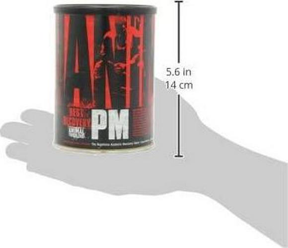 Animal PM - Zinc, Magnesium, Vitamin B6 - GBA + AKG - Immune and Recovery Complex - Sleep and Relaxation Complex - Night time Anabolic Recovery Stack - 30 Night Supply