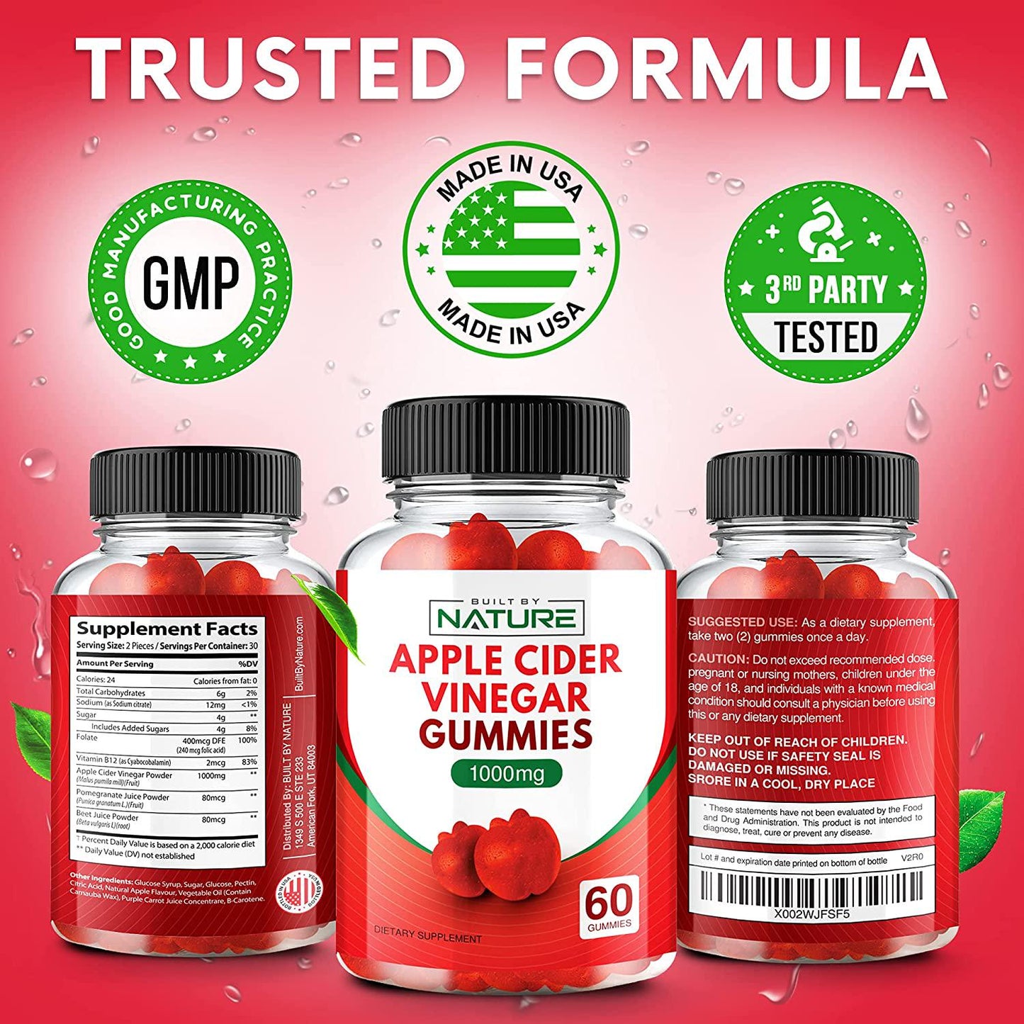 Apple Cider Vinegar Gummies 1000mg ACV from The Mother with Folic Acid, Vitamin B12, Beetroot, and Pomegranate, Chewable Apple Cider Gummy for Cleanse, Digestion, and Energy, Apple Flavor, 60 Gummies
