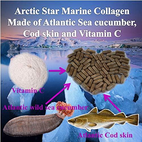 Arctic Star Marine Collagen Iceland Wild-Caught Atlantic sea Cucumber and Cod Skin - Supplement - Fish Collagen peptide - Joint Pain and Immune System Booster - 90 Capsules 300 Milligrams - 北极星海洋胶原蛋白胶囊