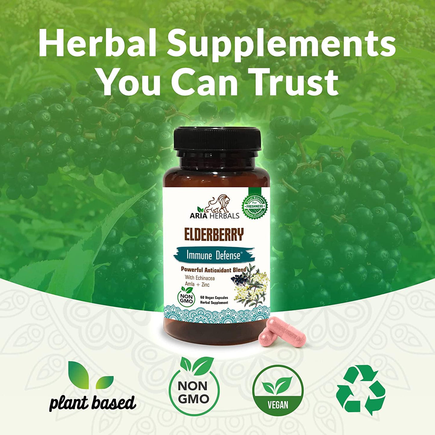 Aria Herbals Elderberry Supplement with Vitamins and Antioxidants, Elderberry Capsules Packed with Echinacea, Zinc and Amla, Fortified with Vitamin C for Immune Defense, 60 Vegan Capsules