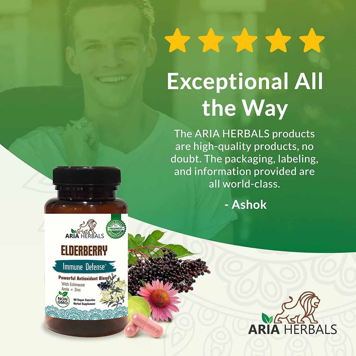 Aria Herbals Elderberry Supplement with Vitamins and Antioxidants, Elderberry Capsules Packed with Echinacea, Zinc and Amla, Fortified with Vitamin C for Immune Defense, 60 Vegan Capsules
