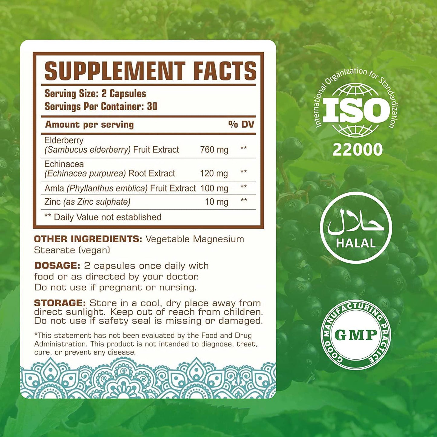 Aria Herbals Elderberry Supplement with Vitamins and Antioxidants, Elderberry Capsules Packed with Echinacea, Zinc and Amla, Fortified with Vitamin C for Immune Defense, 60 Vegan Capsules