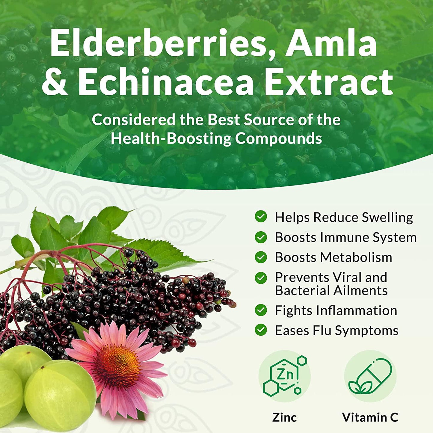 Aria Herbals Elderberry Supplement with Vitamins and Antioxidants, Elderberry Capsules Packed with Echinacea, Zinc and Amla, Fortified with Vitamin C for Immune Defense, 60 Vegan Capsules
