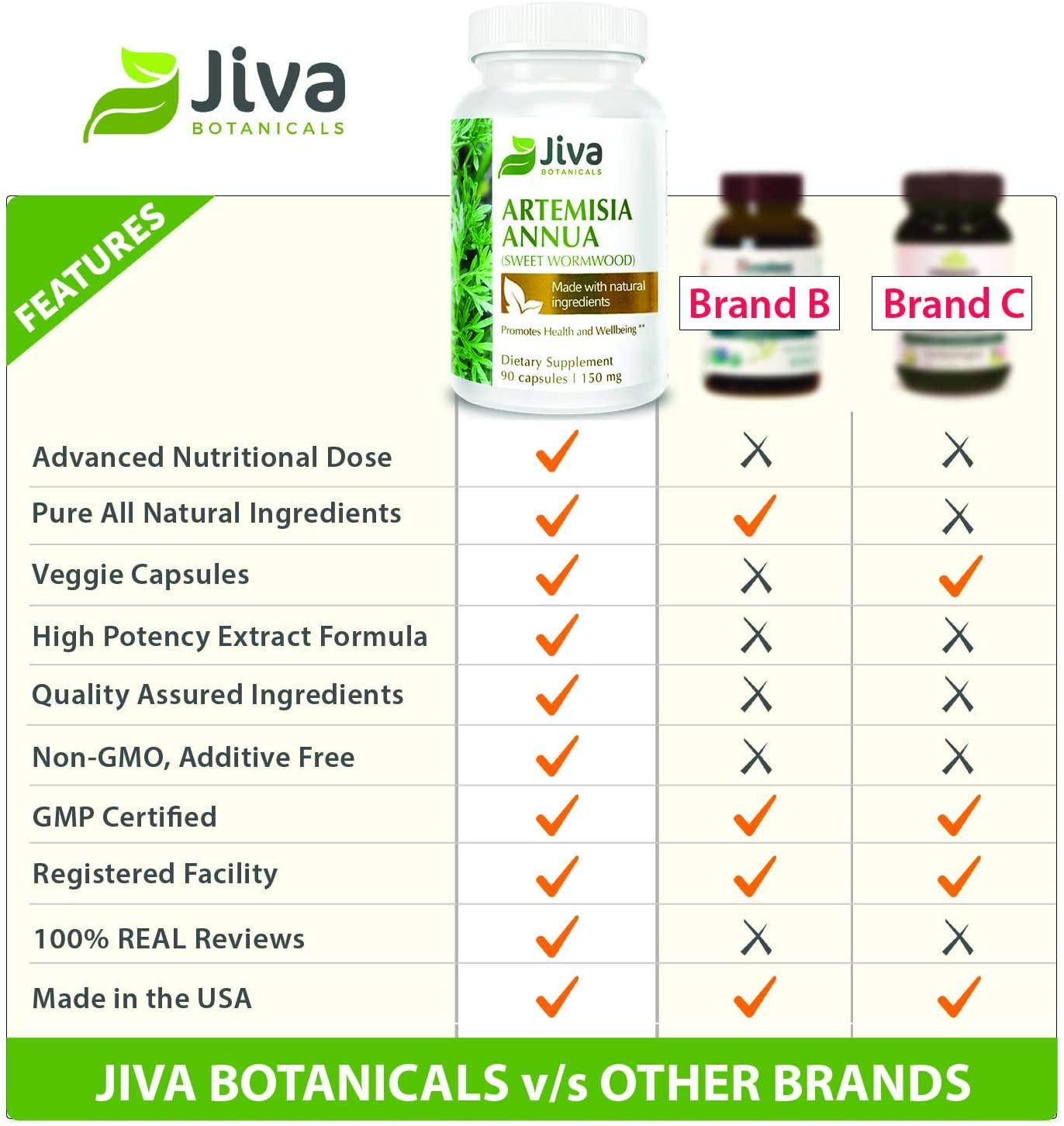 Artemisia Annua Extract (Wormwood) 150 mg High Potency Sweet Wormwood Capsules by Jiva Botanicals (90 Capsules, 3-Month Supply)