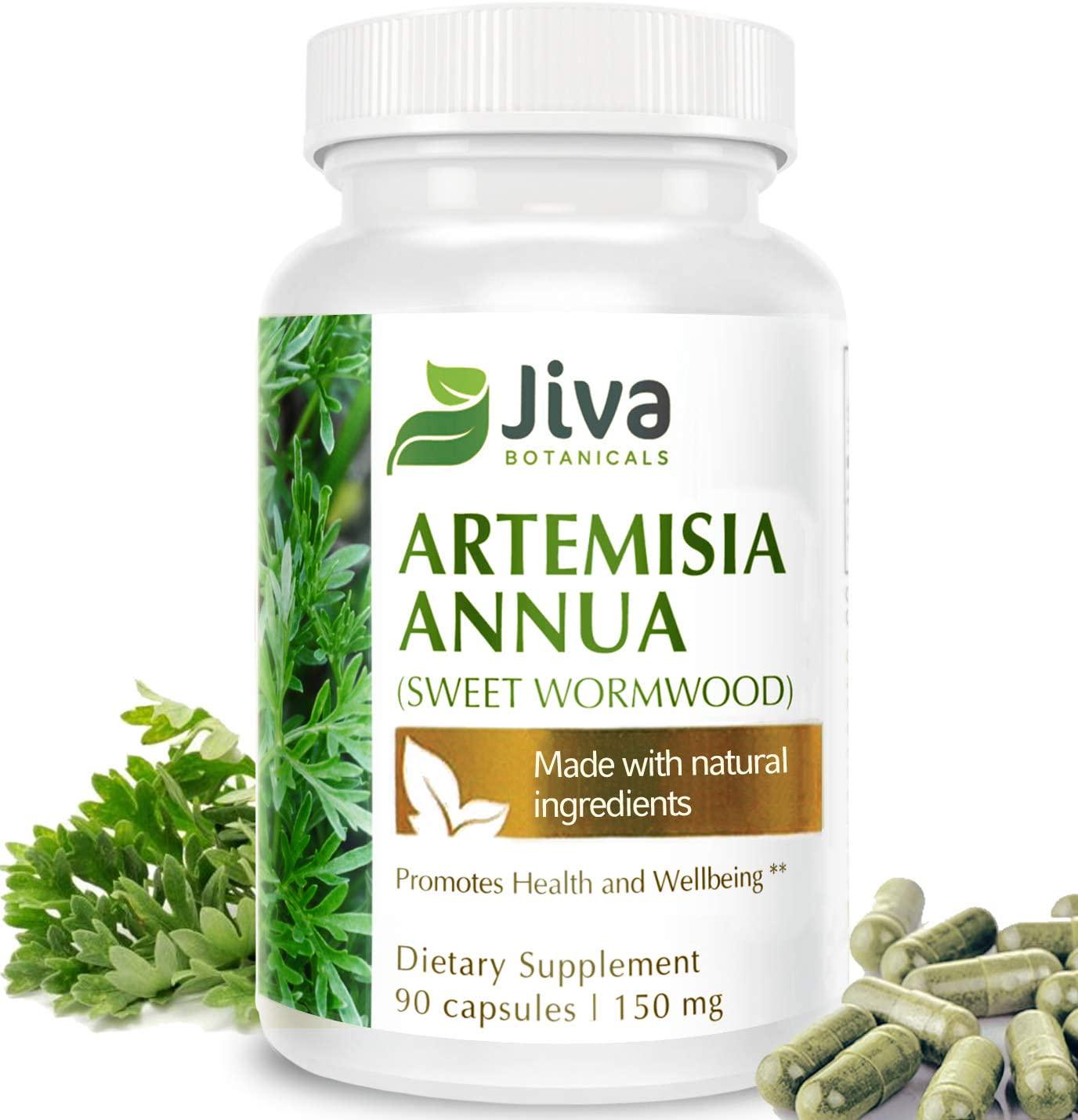 Artemisia Annua Extract (Wormwood) 150 mg High Potency Sweet Wormwood Capsules by Jiva Botanicals (90 Capsules, 3-Month Supply)