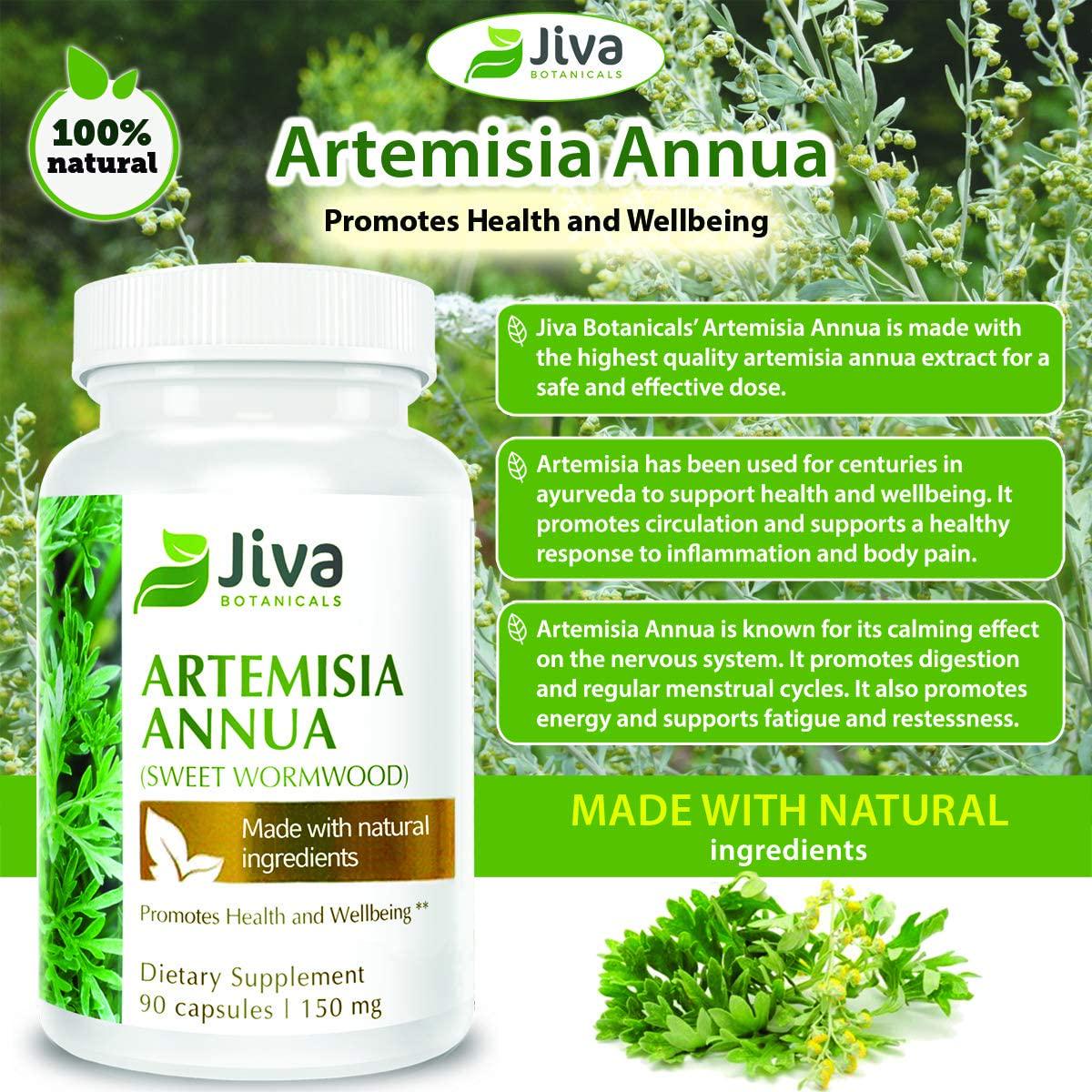 Artemisia Annua Extract (Wormwood) 150 mg High Potency Sweet Wormwood Capsules by Jiva Botanicals (90 Capsules, 3-Month Supply)
