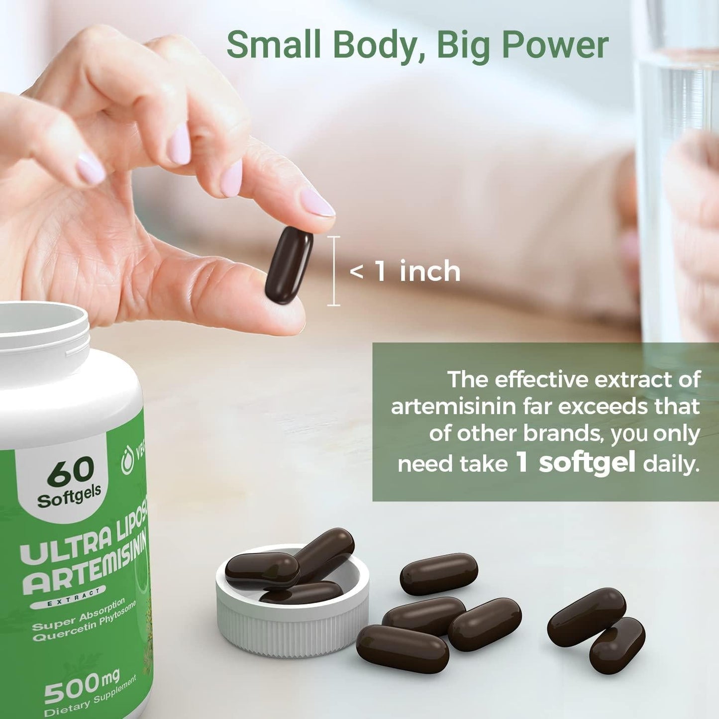 Artemisinin 500Mg Supplement, Artemisia Annua Sweet Wormwood Extract, Liposomal Artemisinin Plus 200mg Quercetin for Digestion, Immune Support, Anti Aging and Inflammation, 120 Servings