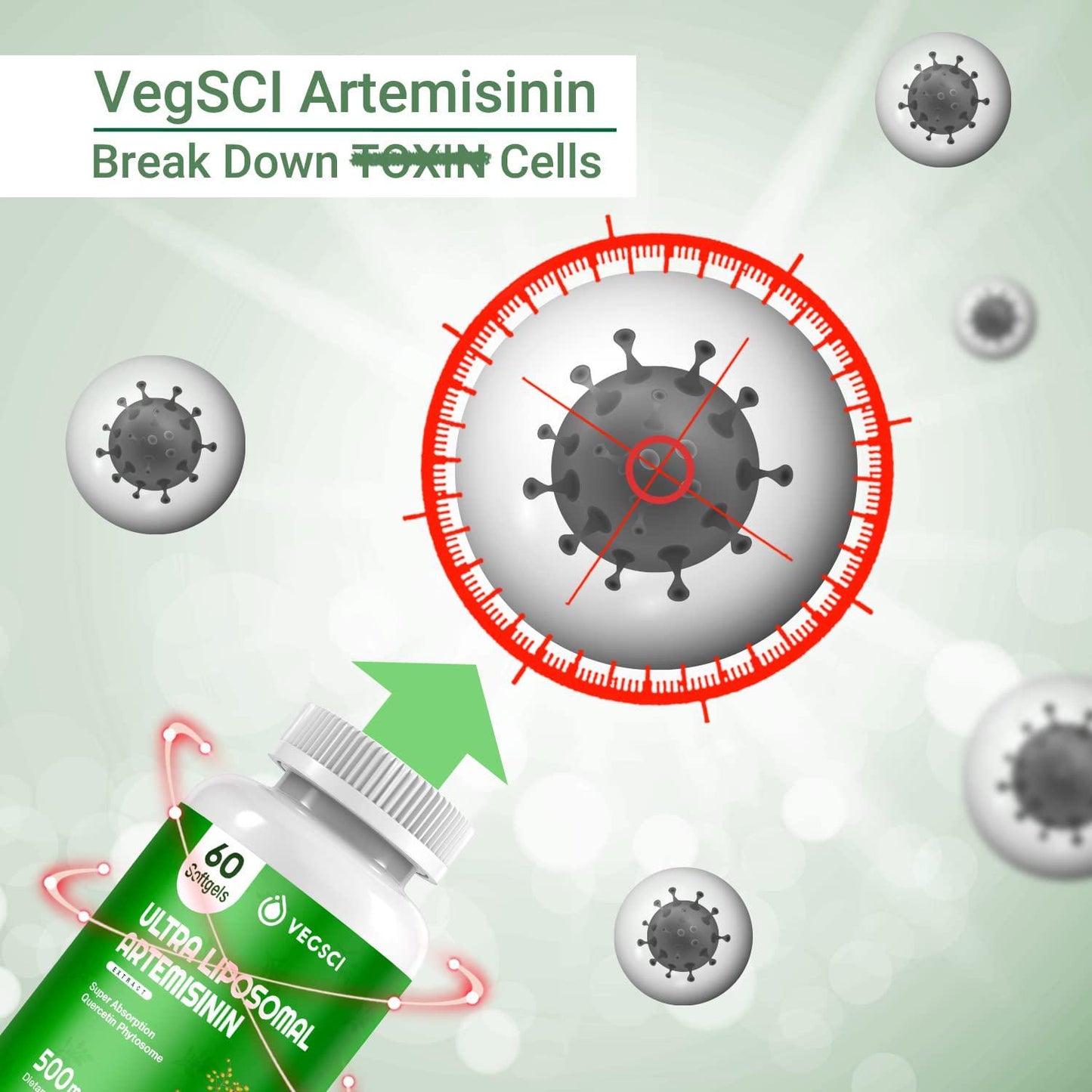 Artemisinin 500Mg Supplement, Artemisia Annua Sweet Wormwood Extract, Liposomal Artemisinin Plus 200mg Quercetin for Digestion, Immune Support, Anti Aging and Inflammation, 120 Servings