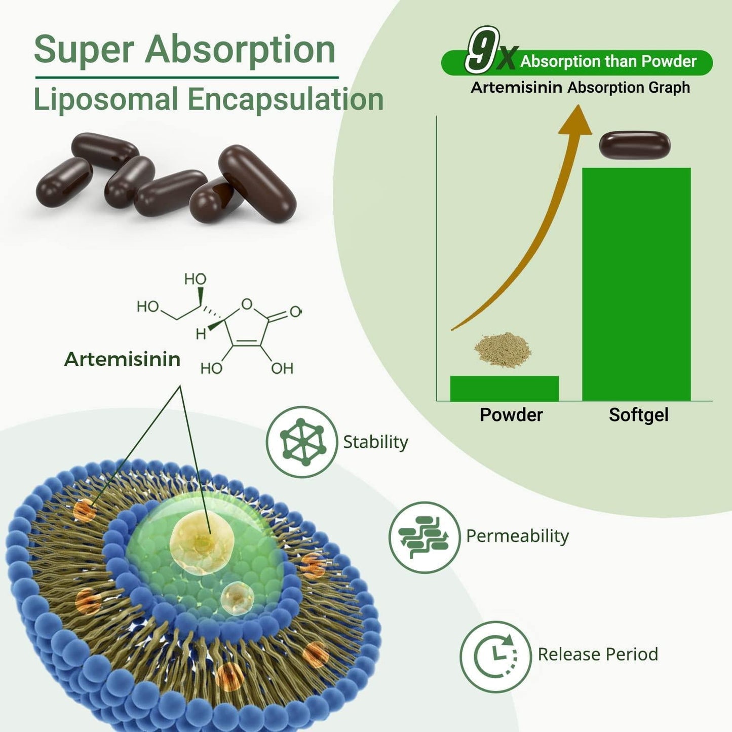 Artemisinin 500Mg Supplement, Artemisia Annua Sweet Wormwood Extract, Liposomal Artemisinin Plus 200mg Quercetin for Digestion, Immune Support, Anti Aging and Inflammation, 120 Servings