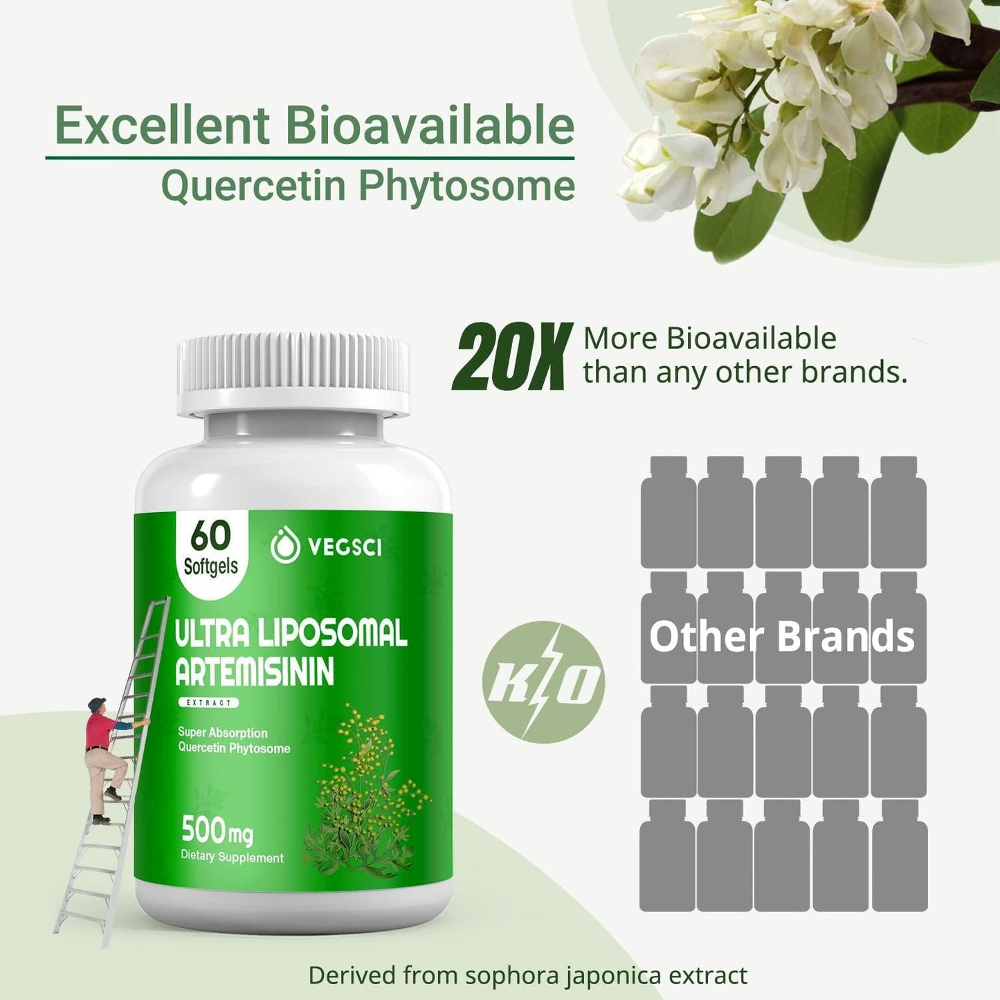 Artemisinin 500Mg Supplement, Artemisia Annua Sweet Wormwood Extract, Liposomal Artemisinin Plus 200mg Quercetin for Digestion, Immune Support, Anti Aging and Inflammation, 120 Servings