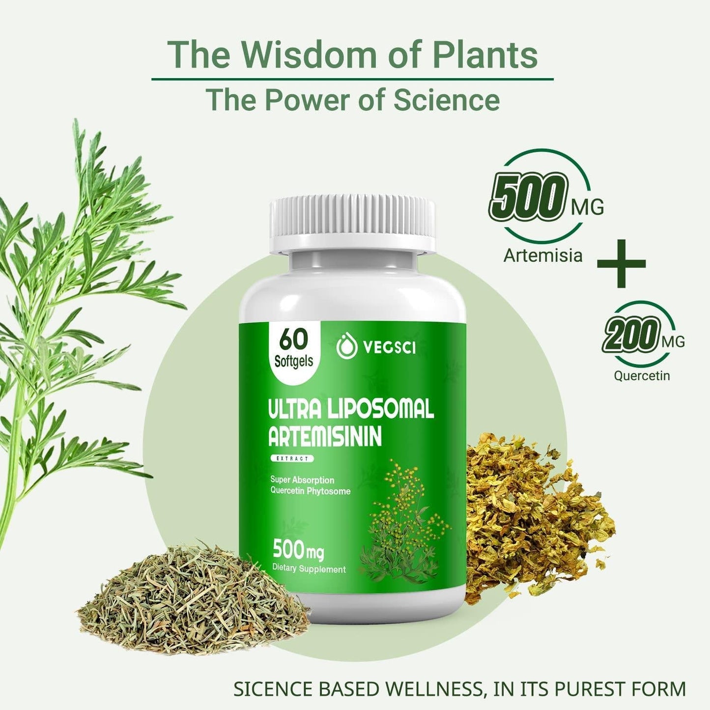 Artemisinin 500Mg Supplement, Artemisia Annua Sweet Wormwood Extract, Liposomal Artemisinin Plus 200mg Quercetin for Digestion, Immune Support, Anti Aging and Inflammation, 120 Servings