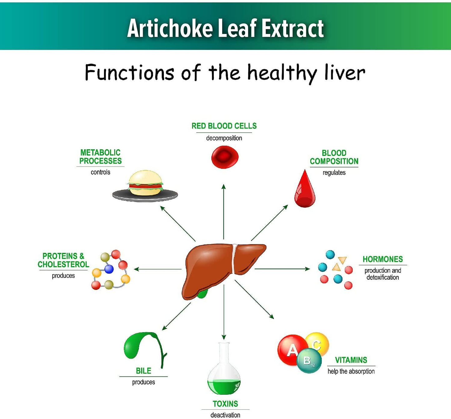Artichole Leaf Extract