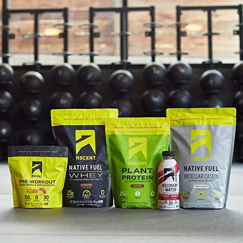 Ascent Organic Plant Based Protein Powder - Non Dairy Vegan Protein, Zero Artificial Ingredients, Soy and Gluten Free, No Added Sugar, 4g BCAA, 2g Leucine - Vanilla, 20 Servings