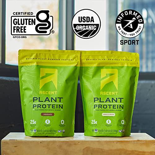 Ascent Organic Plant Based Protein Powder - Non Dairy Vegan Protein, Zero Artificial Ingredients, Soy and Gluten Free, No Added Sugar, 4g BCAA, 2g Leucine - Vanilla, 20 Servings