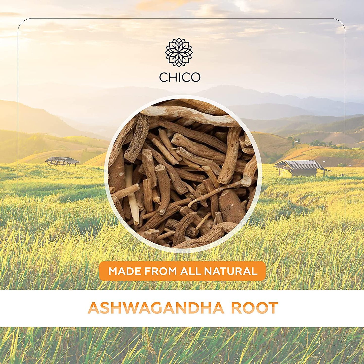 Ashwagandha Liquid Extract (2 fl oz)