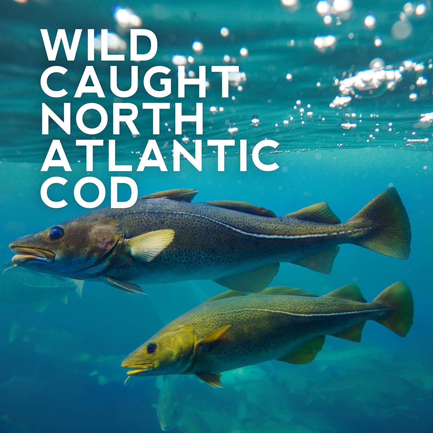 Aspen Naturals Marine Collagen Peptides - Protein Powder Supplement for Joint and Bone Health - Natural Fuel for Daily Dietary Health - 12oz