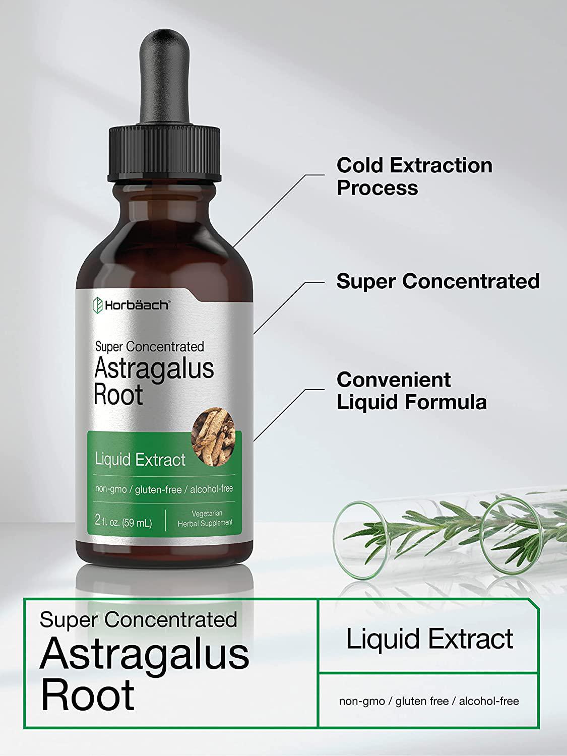 Astragalus Root Extract | 2 oz | Alcohol Free | Super Concentrated | Vegetarian, Non-GMO, Gluten Free Tincture | by Horbaach