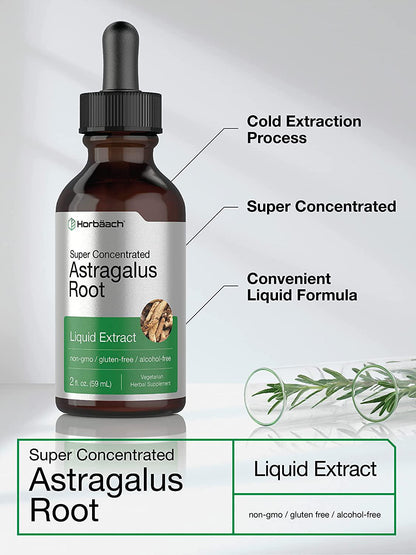 Astragalus Root Extract | 2 oz | Alcohol Free | Super Concentrated | Vegetarian, Non-GMO, Gluten Free Tincture | by Horbaach