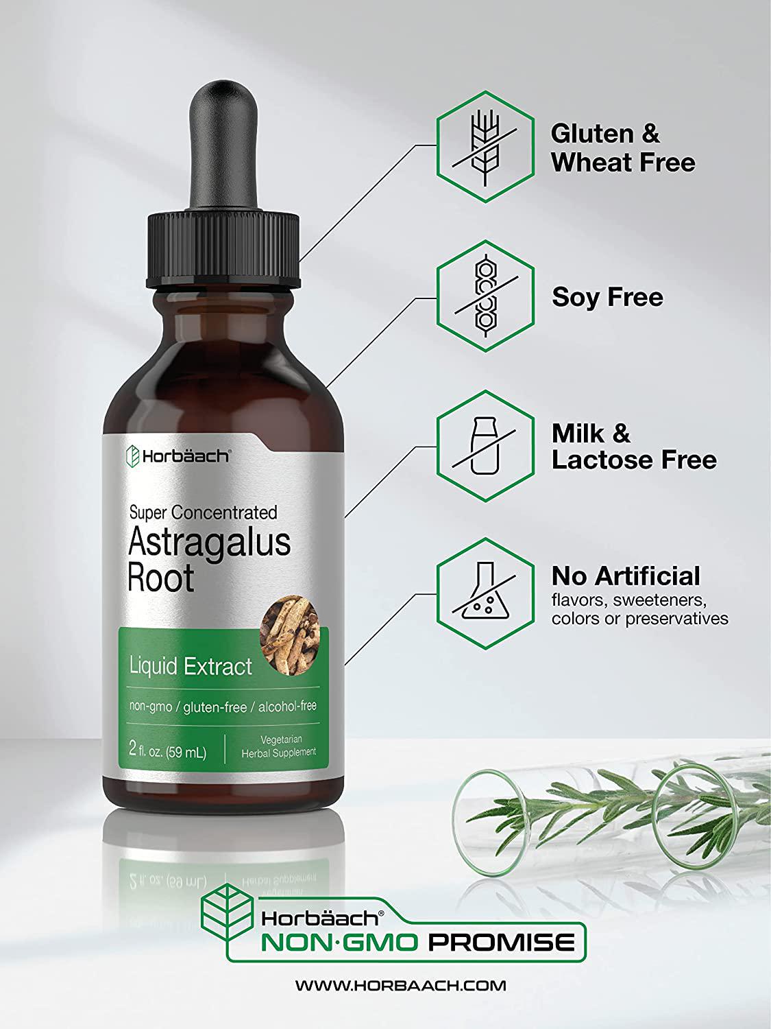 Astragalus Root Extract | 2 oz | Alcohol Free | Super Concentrated | Vegetarian, Non-GMO, Gluten Free Tincture | by Horbaach