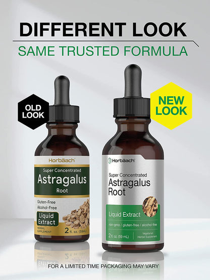 Astragalus Root Extract | 2 oz | Alcohol Free | Super Concentrated | Vegetarian, Non-GMO, Gluten Free Tincture | by Horbaach