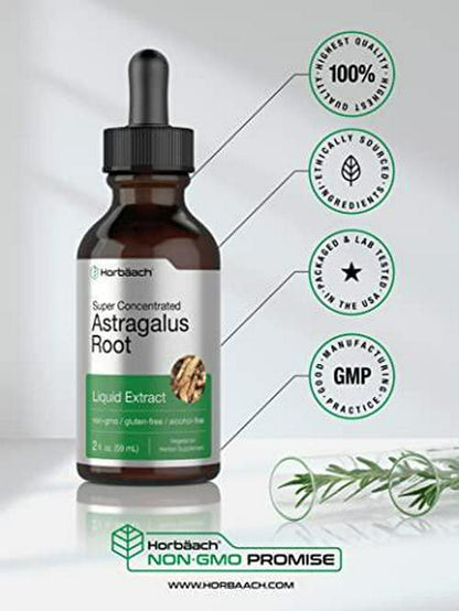 Astragalus Root Extract | 2 oz | Alcohol Free | Super Concentrated | Vegetarian, Non-GMO, Gluten Free Tincture | by Horbaach