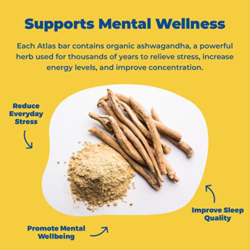 Atlas Mind + Body Keto Protein Bar - Lemon Blueberry + Ultimate Variety Keto Bars - Low Carb Protein Bars - High Fiber Bars - Low Sugar Meal Replacement Bars - Organic Ashwagandha (20 Count)