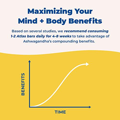 Atlas Mind + Body Keto Protein Bar - Lemon Blueberry + Ultimate Variety Keto Bars - Low Carb Protein Bars - High Fiber Bars - Low Sugar Meal Replacement Bars - Organic Ashwagandha (20 Count)