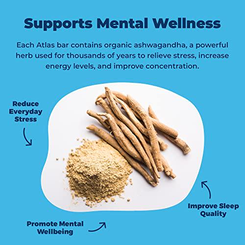 Atlas Mind + Body Keto Protein Bars - Whey + Plant Variety Bundle - Low Carb Protein Bars - High Fiber Vegan Bars and Low Sugar Meal Replacement Bars - Vegan Snacks - Organic Ashwagandha (20 Count)