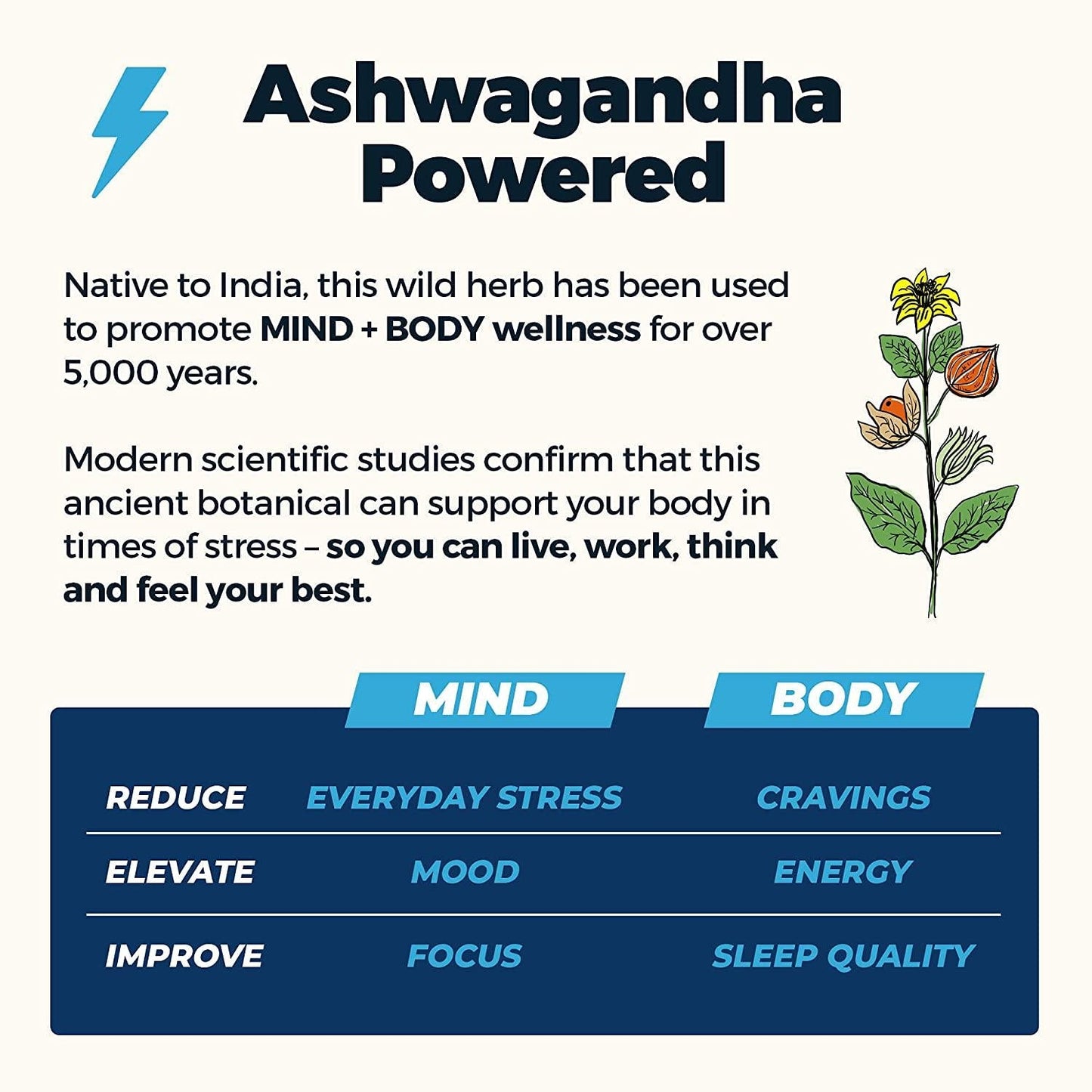 Atlas Protein Bar, Meal Replacement, Keto-Friendly Snack, Grass-Fed Whey, Organic Ashwagandha, Low Sugar, Low Carb, Gluten Free, 10 pack, Vanilla Almond Chai