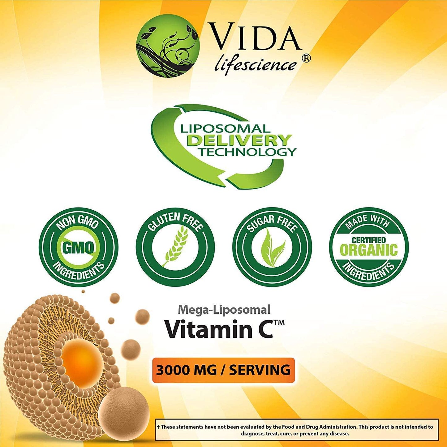 Aurora Nutrascience Mega Liposomal Vitamin C 3000 mg per Serving 16 oz Liquid