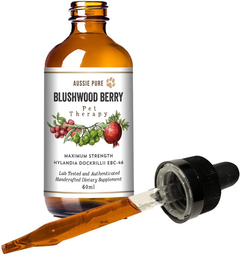 Aussie Pure Pet Therapy Blushwood Berry Tincture - 60ml - Maximum Strength - Lab Tested and Certified - Gentle, Oral and Topical Alcohol-Free Formula - Immune and Cell Support