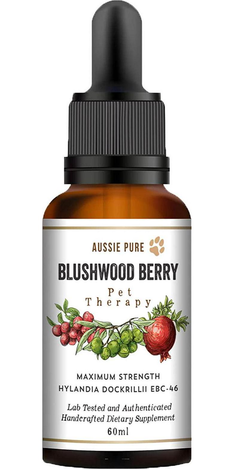 Aussie Pure Pet Therapy Blushwood Berry Tincture - 60ml - Maximum Strength - Lab Tested and Certified - Gentle, Oral and Topical Alcohol-Free Formula - Immune and Cell Support