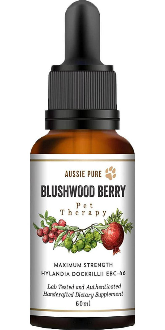 Aussie Pure Pet Therapy Blushwood Berry Tincture - 60ml - Maximum Strength - Lab Tested and Certified - Gentle, Oral and Topical Alcohol-Free Formula - Immune and Cell Support