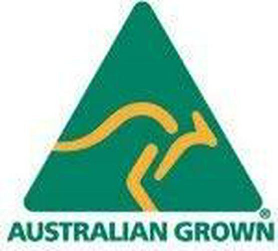 Australian Organic Chlorella Tablets, 300 tablets 500mg, Cracked Cell, non GMO, Australian Grown, Purest Quality