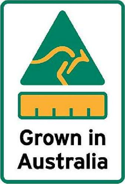 Australian Organic Chlorella Tablets, 300 tablets 500mg, Cracked Cell, non GMO, Australian Grown, Purest Quality