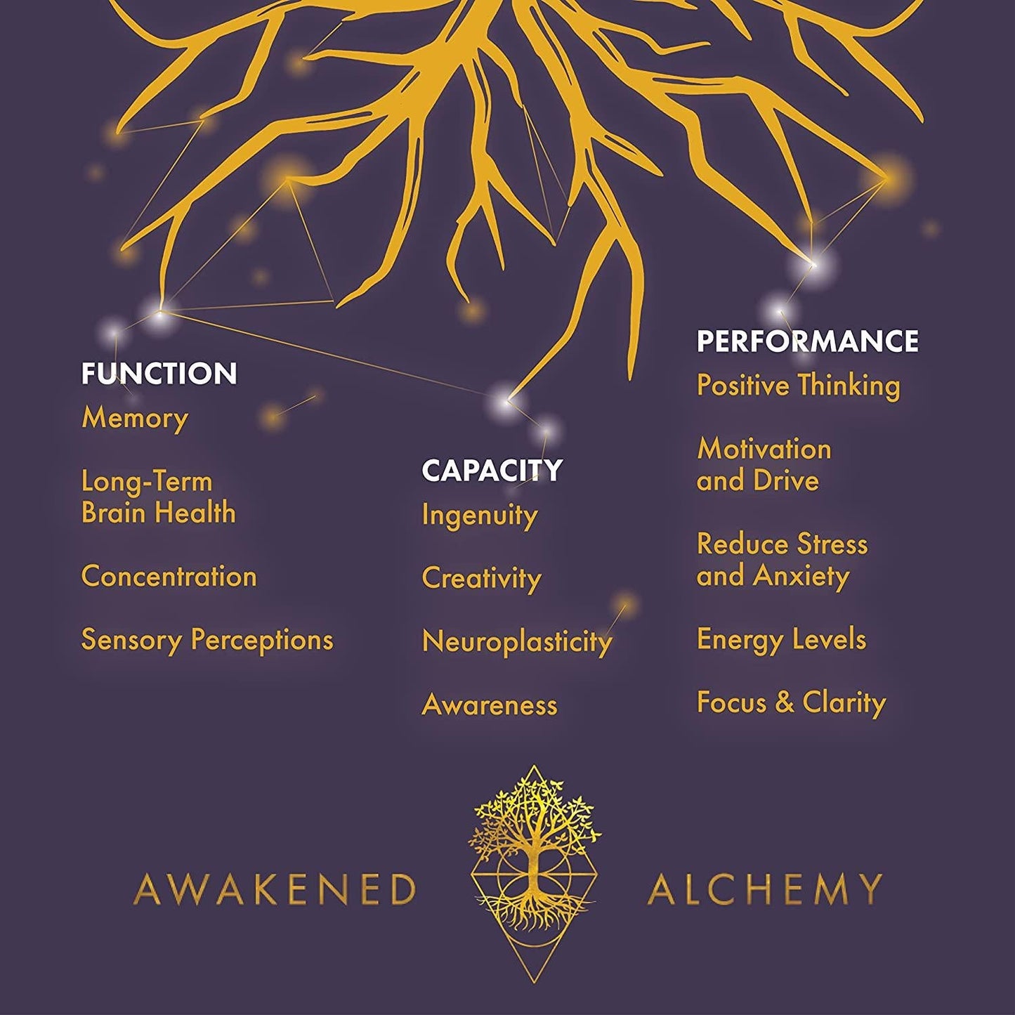Awakened Alchemy - Awaken Gold Formula - 90 Vegetarian Capsules
