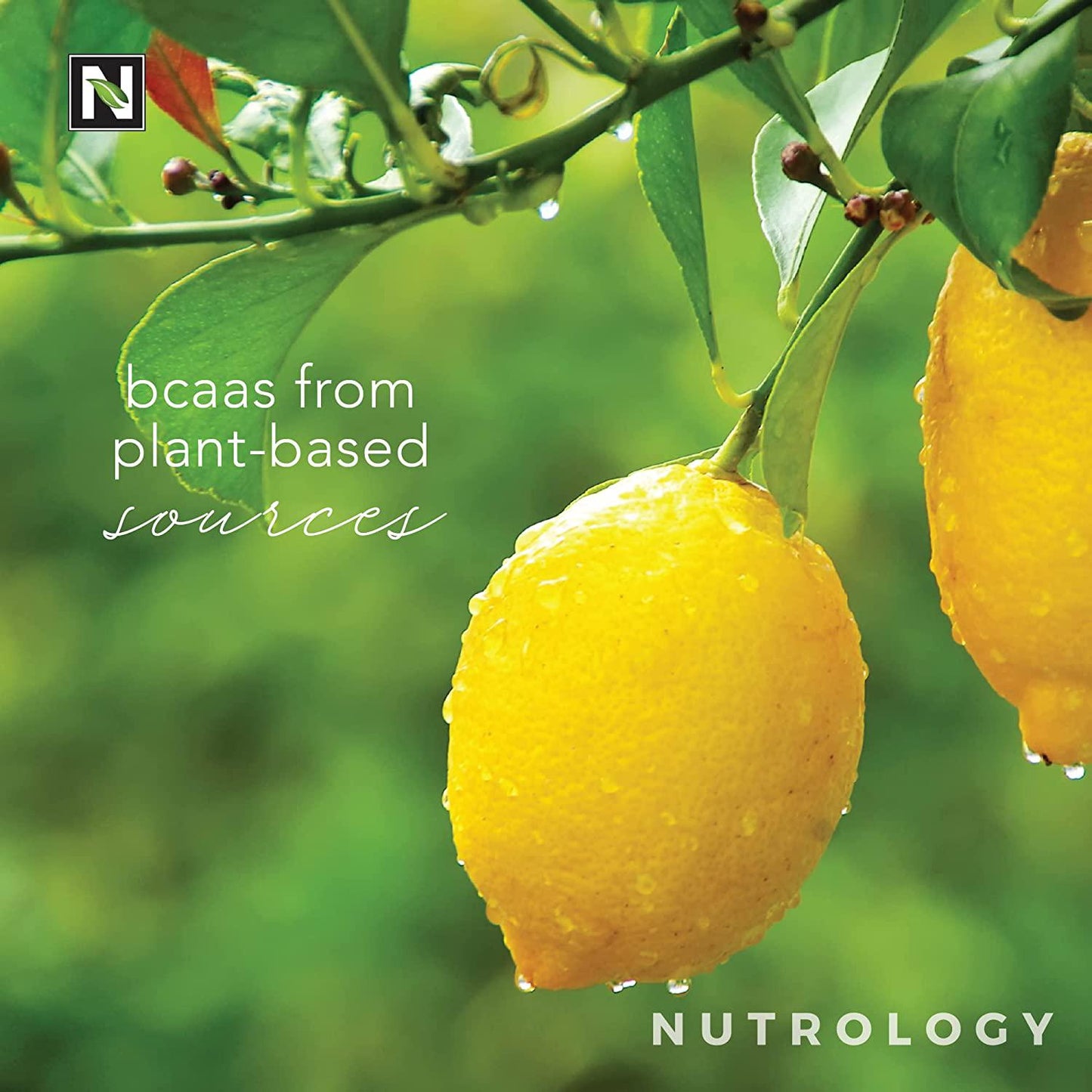 BCAA Natural-Non-GMO-Plant-Sourced Amino Acid Drink- Improve Performance -Enhance Recovery-Boost Immune Health-BCAA Drink Mix -Lemonade Flavor- 30 Serve