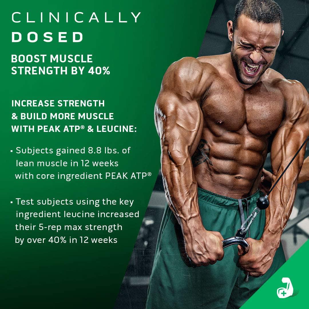 BCAAs Amino Acids Supplement, MuscleTech Amino Build Elite BCAA Powder, Intra Workout Essential Amino Acids EAA Powder, Strength and Pump Supplement, Electric Limeade (25 Servings)