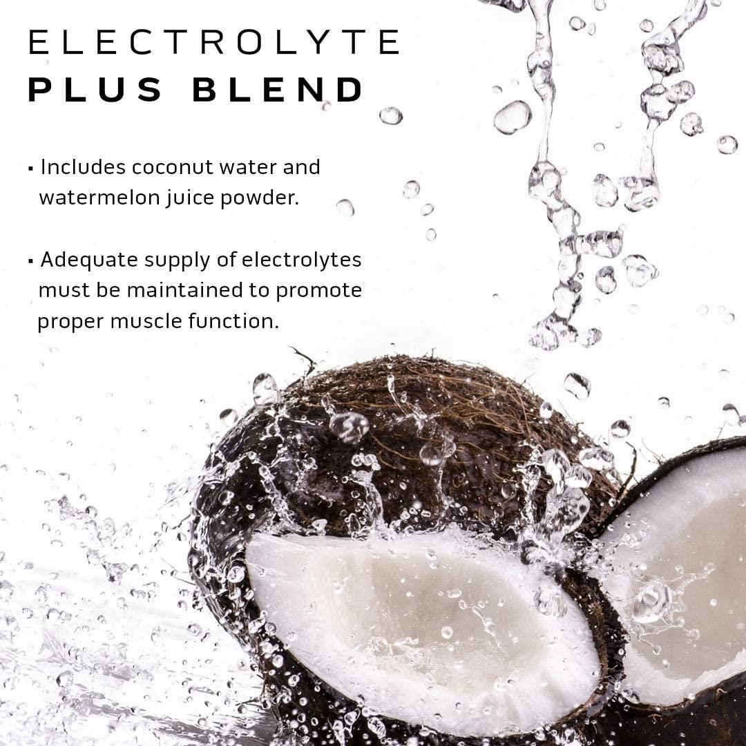 BCAAs Amino Acids Supplement, MuscleTech Amino Build Elite BCAA Powder, Intra Workout Essential Amino Acids EAA Powder, Strength and Pump Supplement, Electric Limeade (25 Servings)