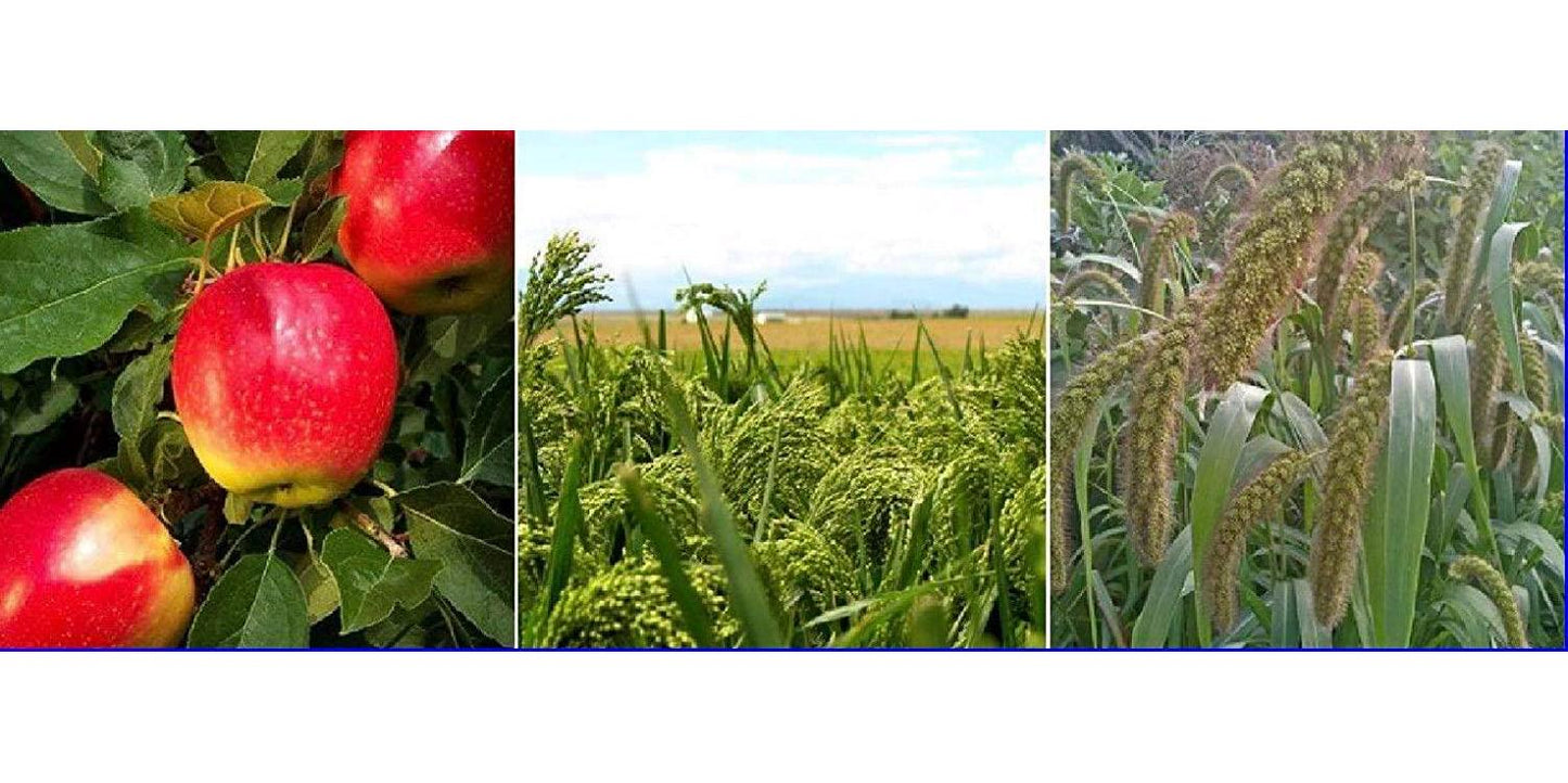 BIOTIN and Apple Extract - Miracle Hair Volume