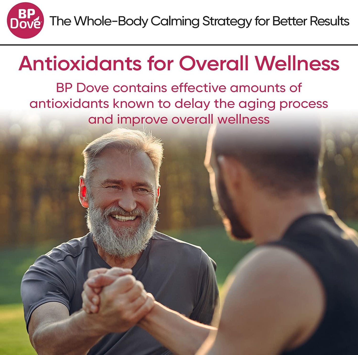 BP Dove – Whole-Body Calming for Healthy Blood Pressure – Relaxes Heart and Arteries, Eases Stress, and Enhances Sleep – All to Promote Normal Blood Pressure – A New Strategy for Extraordinary Results