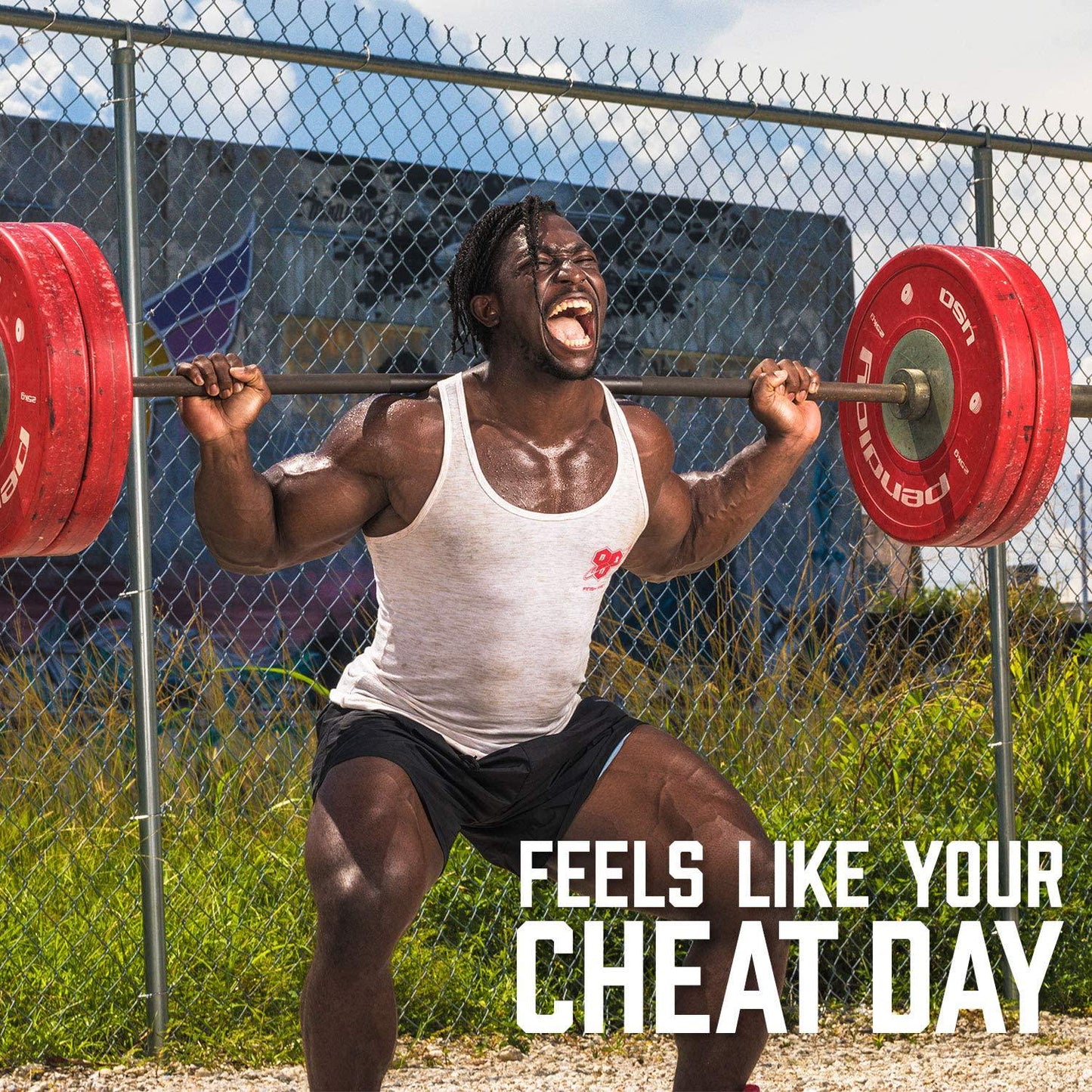 BSN SYNTHA-6 ISOLATE Protein Powder, Whey Protein Isolate, Milk Protein Isolate, Flavor: Strawberry Milkshake, 48 servings