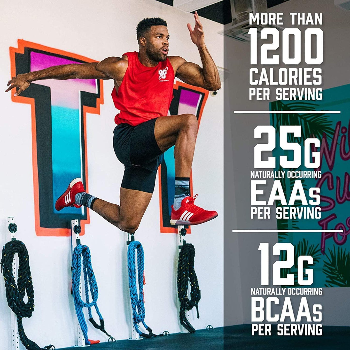 BSN TRUE-MASS Weight Gainer, Muscle Mass Gainer Protein Powder, Chocolate Milkshake, 10.38 Pound (Package May Vary)