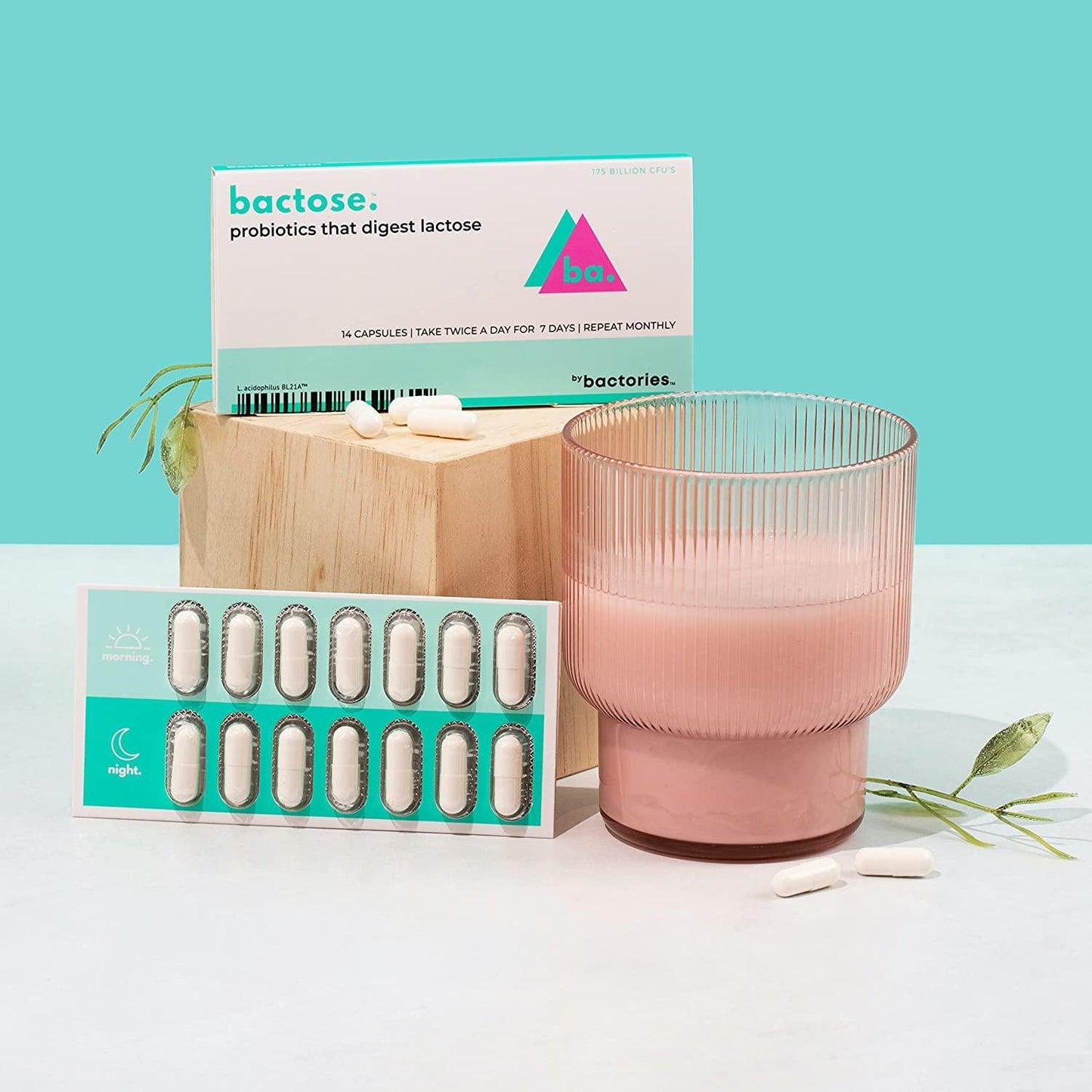 Bactose Probiotics for Lactose Intolerance - One 7 Day Supply, Provides Multiple Months of Relief - Helps Digest Dairy Lactose - Digestive PROBIOTIC Supplement That Produces Lactase Enzymes