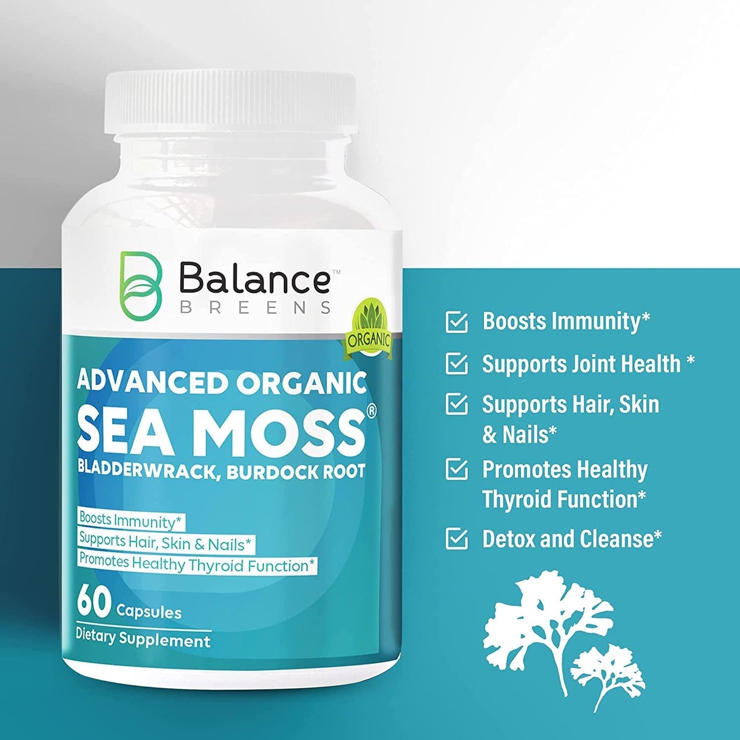 Balance Breens Certified Organic Irish Sea Moss Supplement with Bladderwrack, and Burdock Root - 60 Capsules - Pure Sea Moss Dietary Supplement for Immunity, Thyroid, Digestive and Joint Support