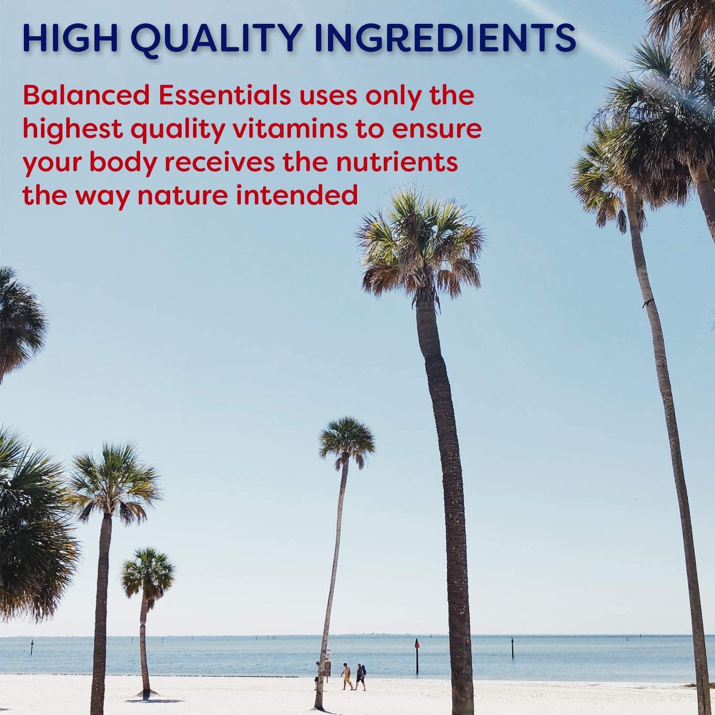 Balanced Essentials 2 Pack Natural Liquid Nutritional Supplement Vitamin 32 Ounces Very Berry S-BE32