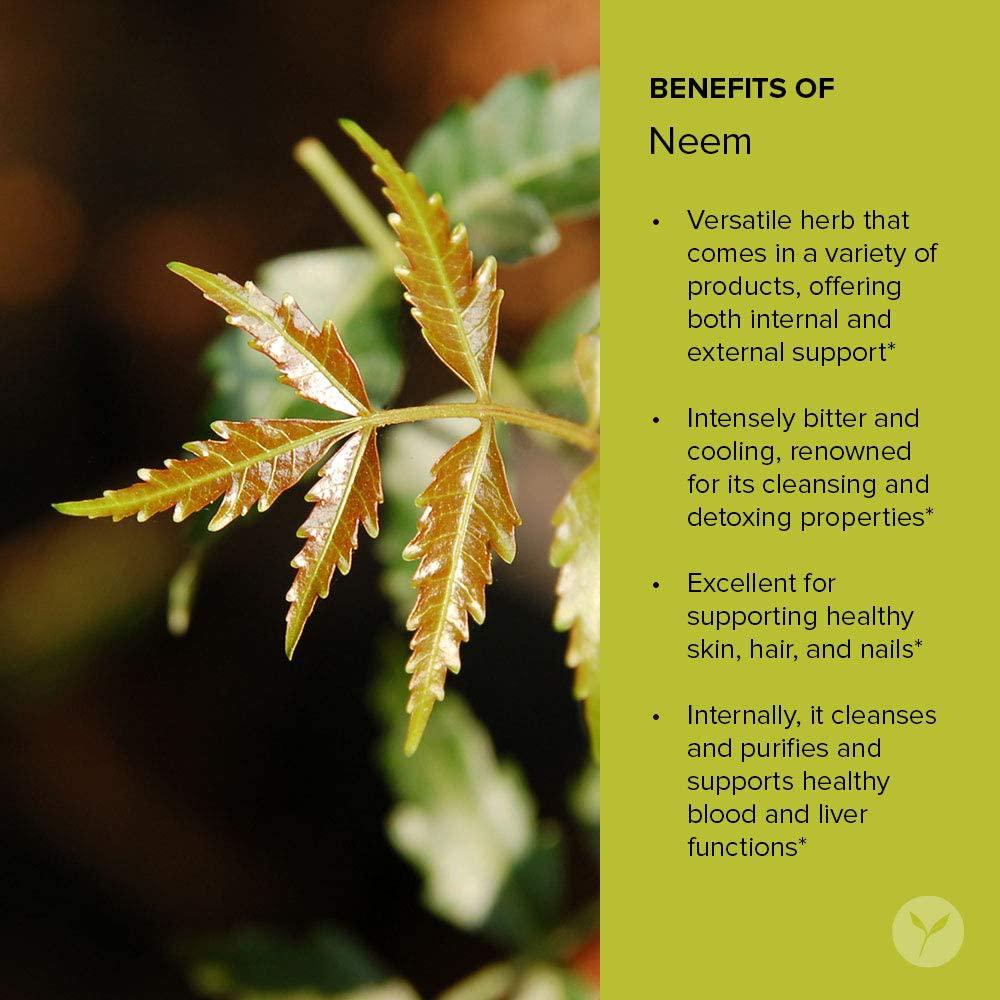 Banyan Botanicals Neem Powder - USDA Organic - 1/2 Pound, Azadirachta Indica - Ayurvedic Herb for Skin and Blood*