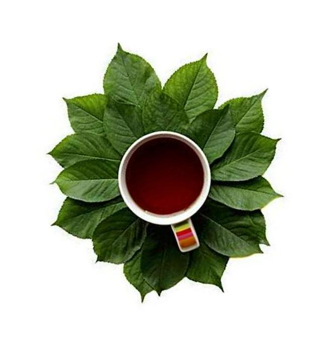 Barbed Skullcap Root (Huang Qin) 5:1 Extract Powder | Lab Tested Premium Chinese Herb Radix Scutellariae Powder in Dissolve Form - 4oz (112g)